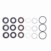 Oil Seal Kit for RW Comet Pump aka 5647